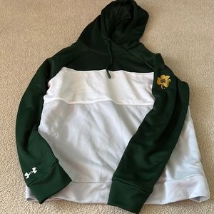 Notre Dame green color-blocked hoodie
